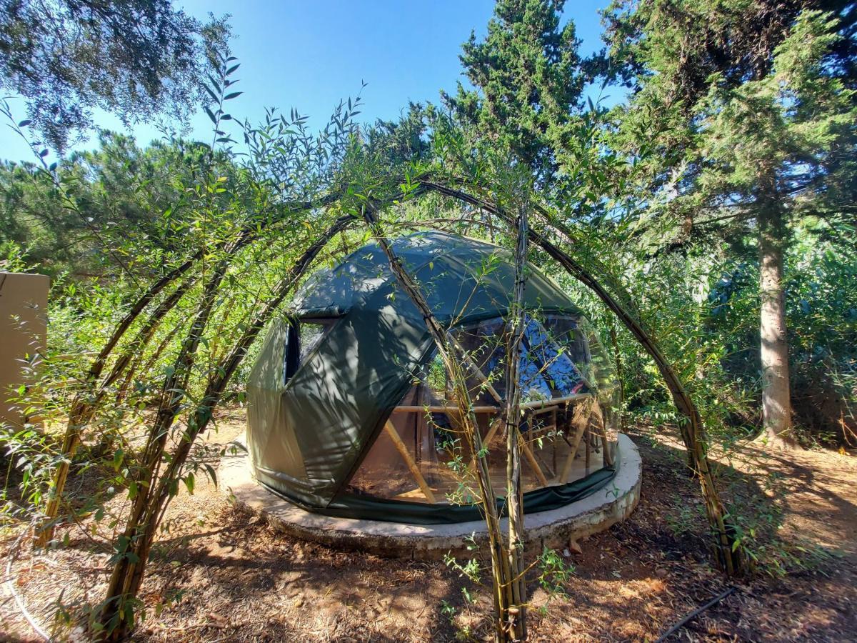 Salema Eco Camp - Sustainable Camping & Glamping מראה חיצוני תמונה